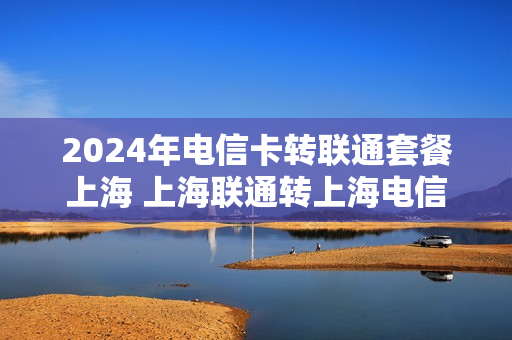 2024年电信卡转联通套餐上海 上海联通转上海电信