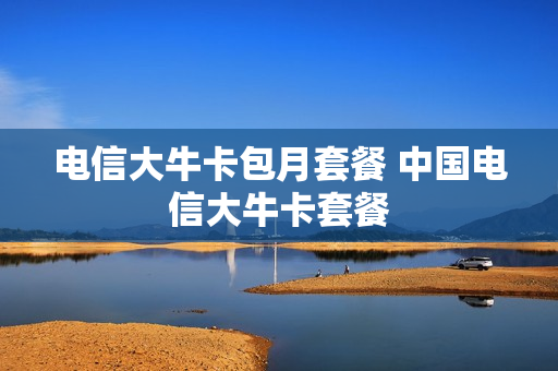 电信大牛卡包月套餐 中国电信大牛卡套餐