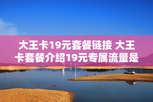 大王卡19元套餐链接 大王卡套餐介绍19元专属流量是什么