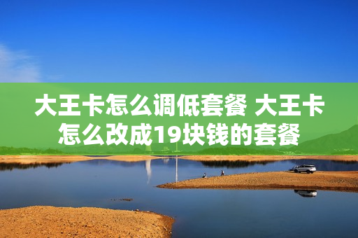 大王卡怎么调低套餐 大王卡怎么改成19块钱的套餐