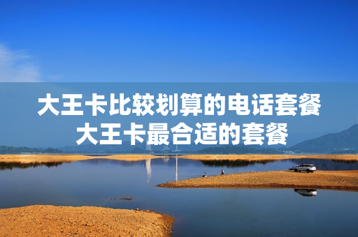 大王卡比较划算的电话套餐 大王卡最合适的套餐