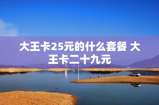 大王卡25元的什么套餐 大王卡二十九元