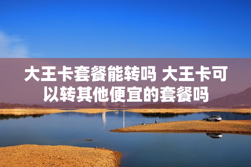 大王卡套餐能转吗 大王卡可以转其他便宜的套餐吗