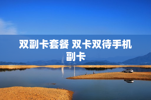 双副卡套餐 双卡双待手机副卡