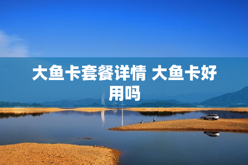大鱼卡套餐详情 大鱼卡好用吗