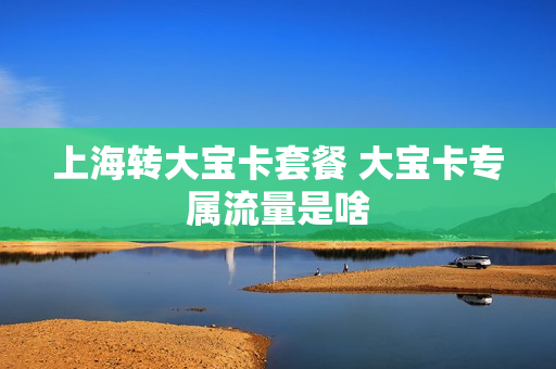 上海转大宝卡套餐 大宝卡专属流量是啥