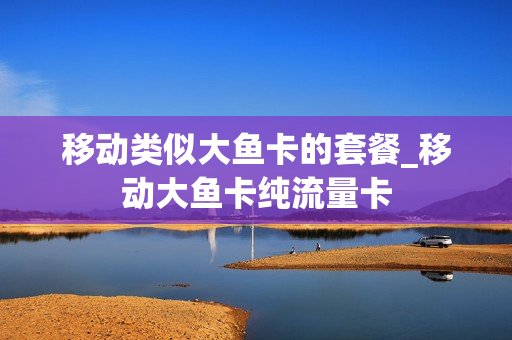 移动类似大鱼卡的套餐_移动大鱼卡纯流量卡