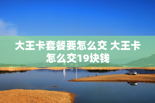 大王卡套餐要怎么交 大王卡怎么交19块钱