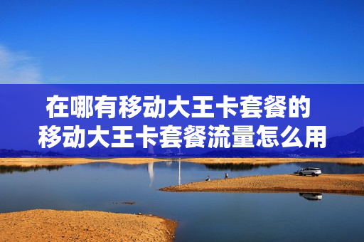 在哪有移动大王卡套餐的 移动大王卡套餐流量怎么用