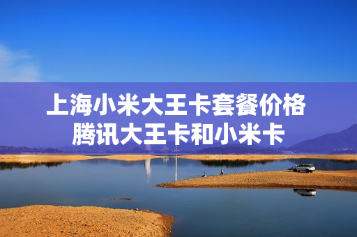 上海小米大王卡套餐价格 腾讯大王卡和小米卡