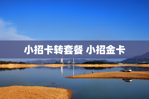 小招卡转套餐 小招金卡