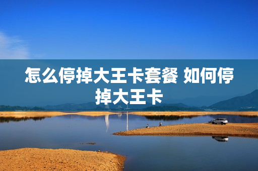 怎么停掉大王卡套餐 如何停掉大王卡