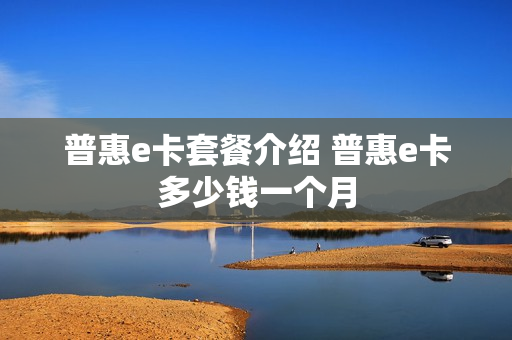 普惠e卡套餐介绍 普惠e卡多少钱一个月
