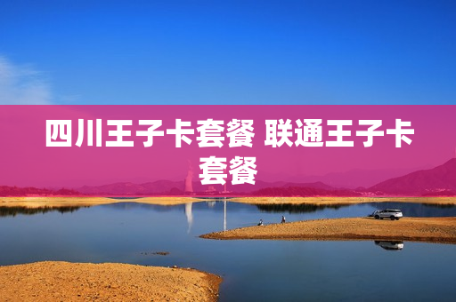 四川王子卡套餐 联通王子卡套餐