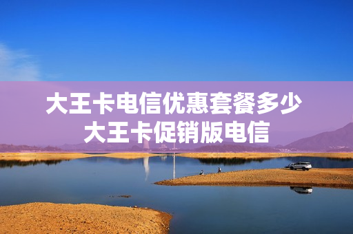大王卡电信优惠套餐多少 大王卡促销版电信