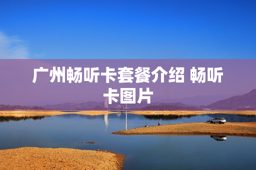 广州畅听卡套餐介绍 畅听卡图片