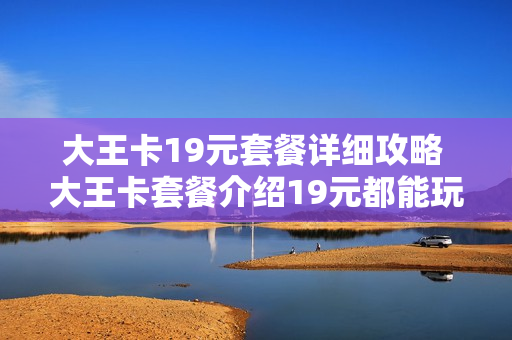 大王卡19元套餐详细攻略 大王卡套餐介绍19元都能玩什么