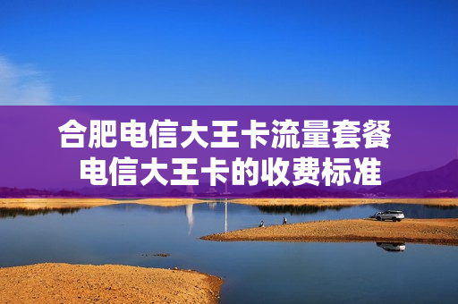 合肥电信大王卡流量套餐 电信大王卡的收费标准