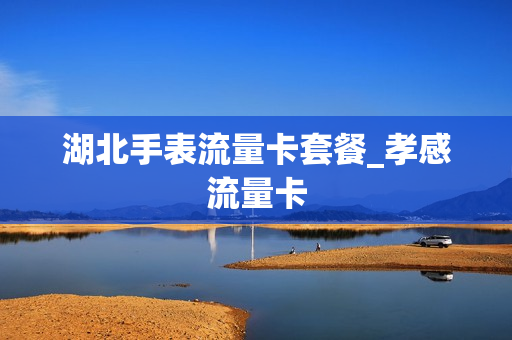湖北手表流量卡套餐_孝感流量卡