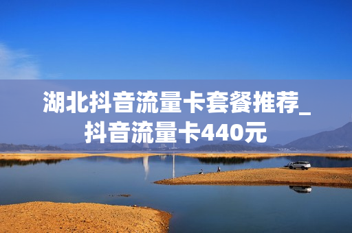 湖北抖音流量卡套餐推荐_抖音流量卡440元