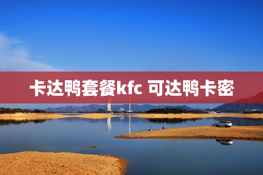 卡达鸭套餐kfc 可达鸭卡密
