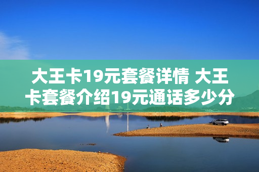 大王卡19元套餐详情 大王卡套餐介绍19元通话多少分钟