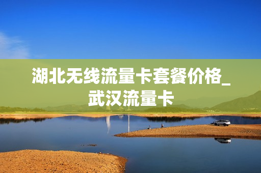 湖北无线流量卡套餐价格_武汉流量卡