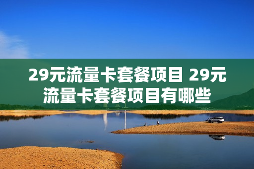 29元流量卡套餐项目 29元流量卡套餐项目有哪些