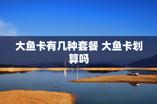 大鱼卡有几种套餐 大鱼卡划算吗