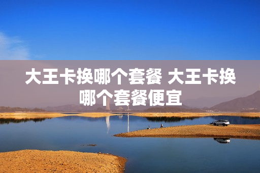 大王卡换哪个套餐 大王卡换哪个套餐便宜