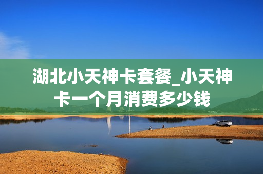 湖北小天神卡套餐_小天神卡一个月消费多少钱