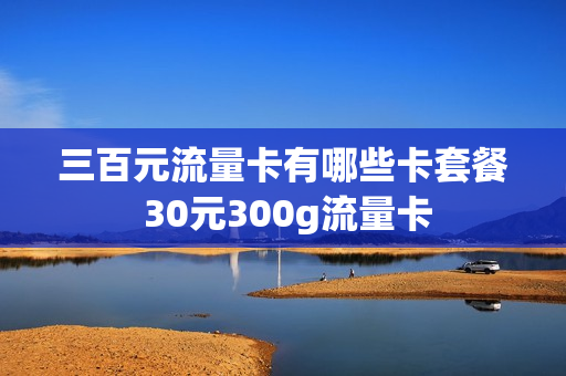 三百元流量卡有哪些卡套餐 30元300g流量卡