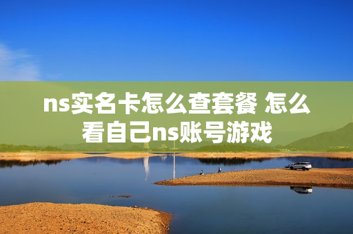 ns实名卡怎么查套餐 怎么看自己ns账号游戏