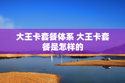 大王卡套餐体系 大王卡套餐是怎样的