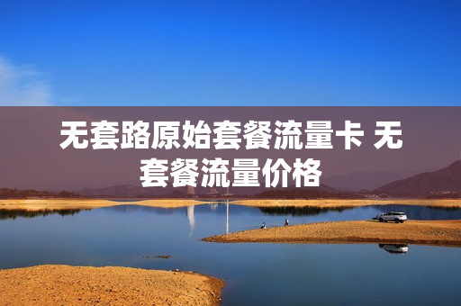 无套路原始套餐流量卡 无套餐流量价格