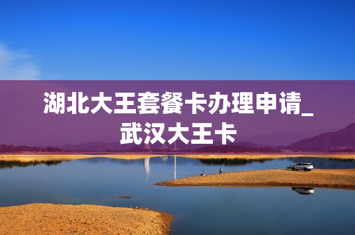 湖北大王套餐卡办理申请_武汉大王卡