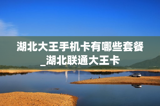 湖北大王手机卡有哪些套餐_湖北联通大王卡