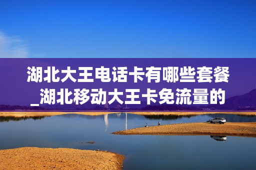 湖北大王电话卡有哪些套餐_湖北移动大王卡免流量的应用
