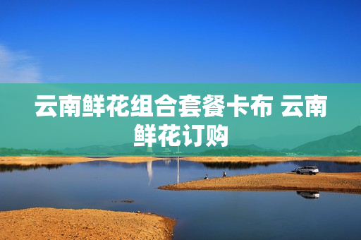 云南鲜花组合套餐卡布 云南鲜花订购