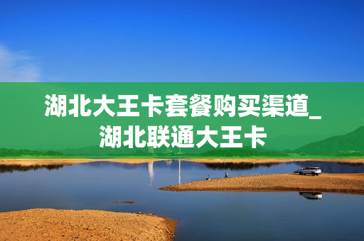 湖北大王卡套餐购买渠道_湖北联通大王卡