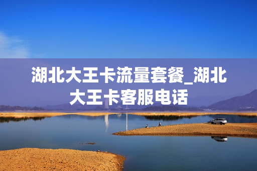 湖北大王卡流量套餐_湖北大王卡客服电话