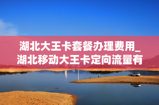 湖北大王卡套餐办理费用_湖北移动大王卡定向流量有哪些app