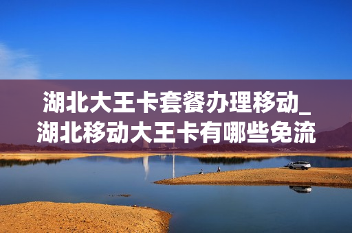 湖北大王卡套餐办理移动_湖北移动大王卡有哪些免流