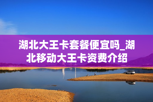湖北大王卡套餐便宜吗_湖北移动大王卡资费介绍