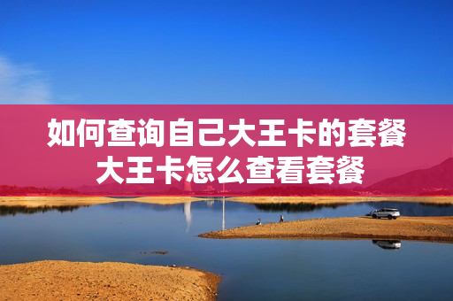 如何查询自己大王卡的套餐 大王卡怎么查看套餐
