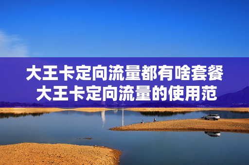 大王卡定向流量都有啥套餐 大王卡定向流量的使用范围