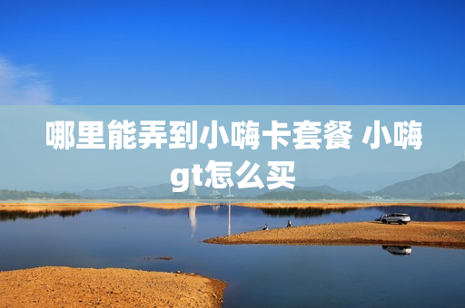 哪里能弄到小嗨卡套餐 小嗨gt怎么买