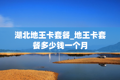 湖北地王卡套餐_地王卡套餐多少钱一个月