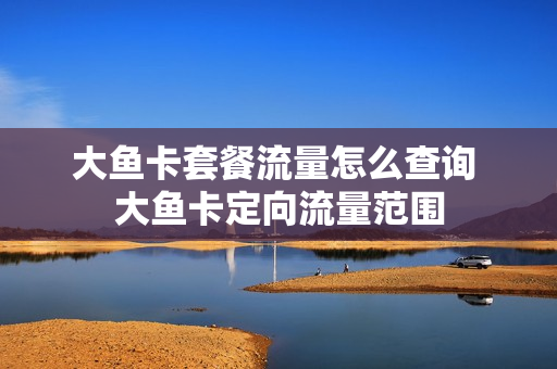 大鱼卡套餐流量怎么查询 大鱼卡定向流量范围