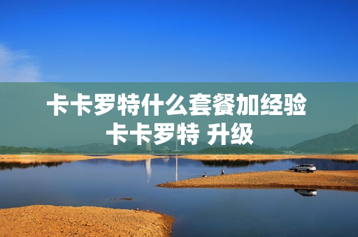 卡卡罗特什么套餐加经验 卡卡罗特 升级